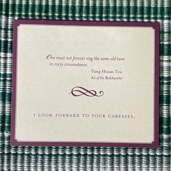 The Fantasy Book - a pillow book for Romantic fantasies - Picture 12 of 15